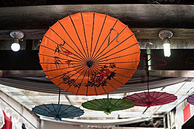 黑曜石第一人称幻想RPG《宣誓》2月19日发售